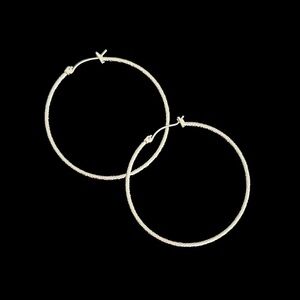 Express Silver Shimmer Hoop Earrings